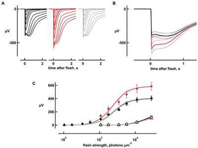 Bicarbonate boosts flash response amplitude to augment absolute sensitivity and extend dynamic range in murine retinal rods